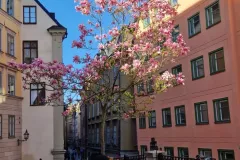 Gamla Stan Sztokholm