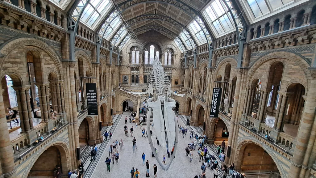 Natural History Museum